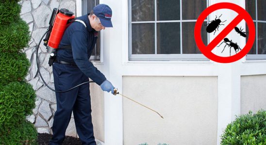 Nizip Böcek İlaçlama böcek ilaçlama ve haşere kontrolü — ilaclama-tr.com